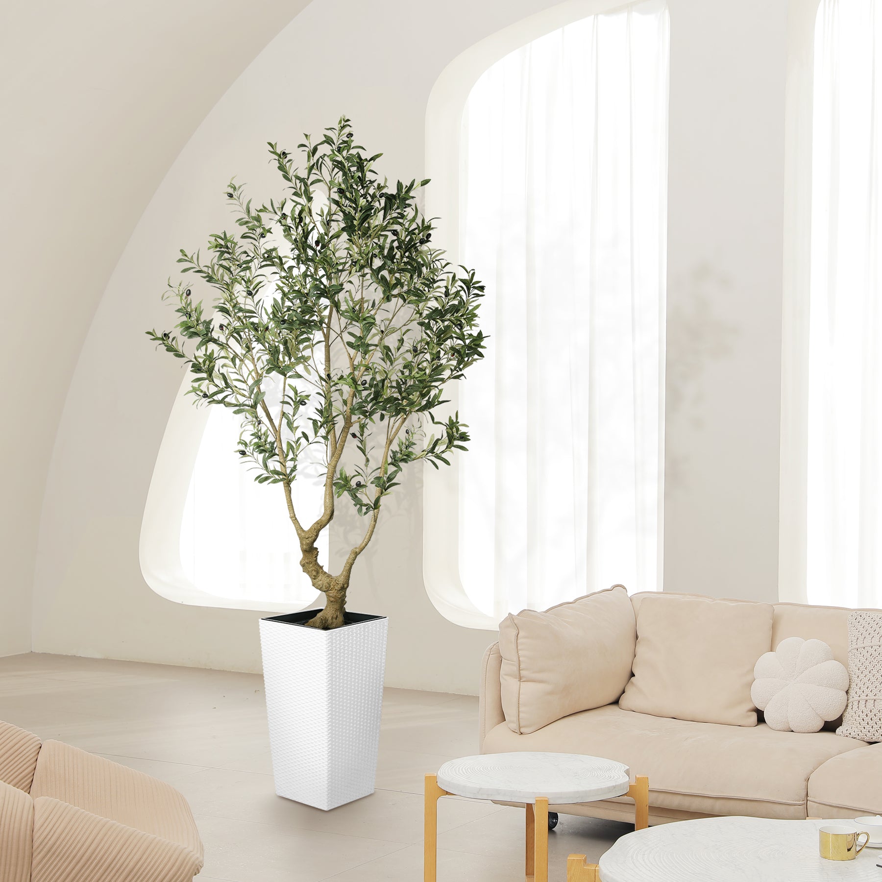7FT Olive Trees with Tall Planter